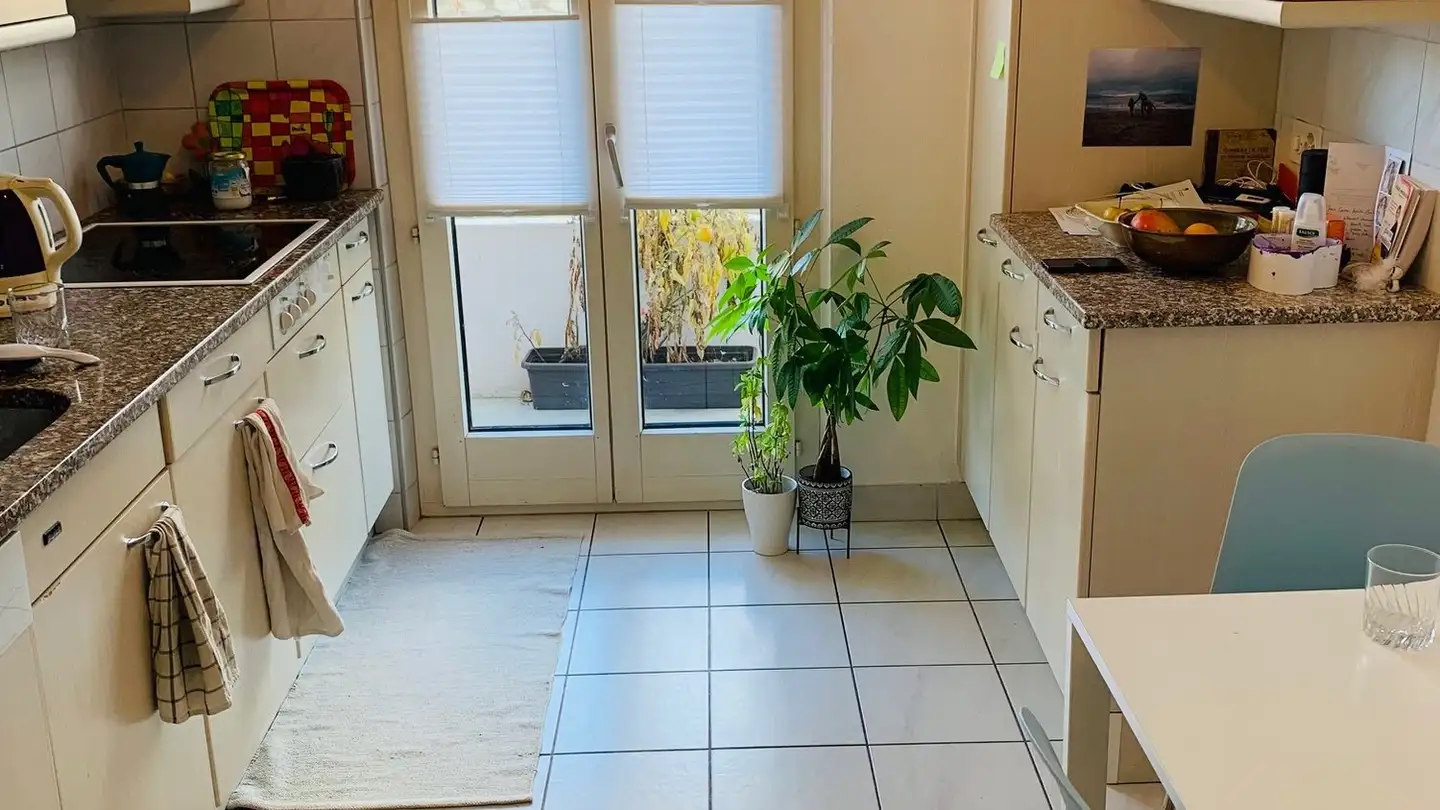 Wohnung mieten - Wilerweg, 3280 Murten - Foto 3