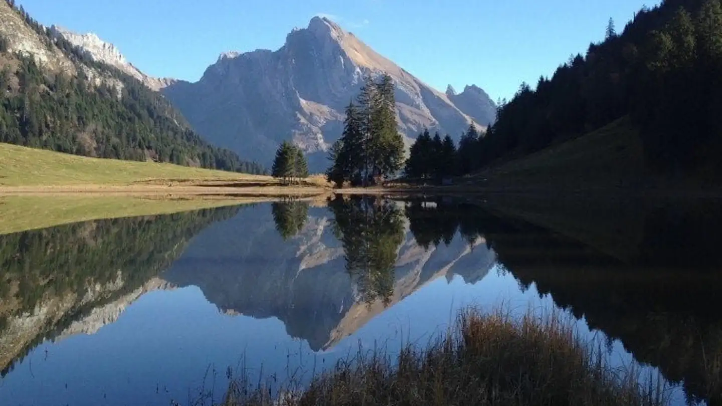 Appartamento in affitto - Kirchgasse 7, 9658 Wildhaus - Photo 2