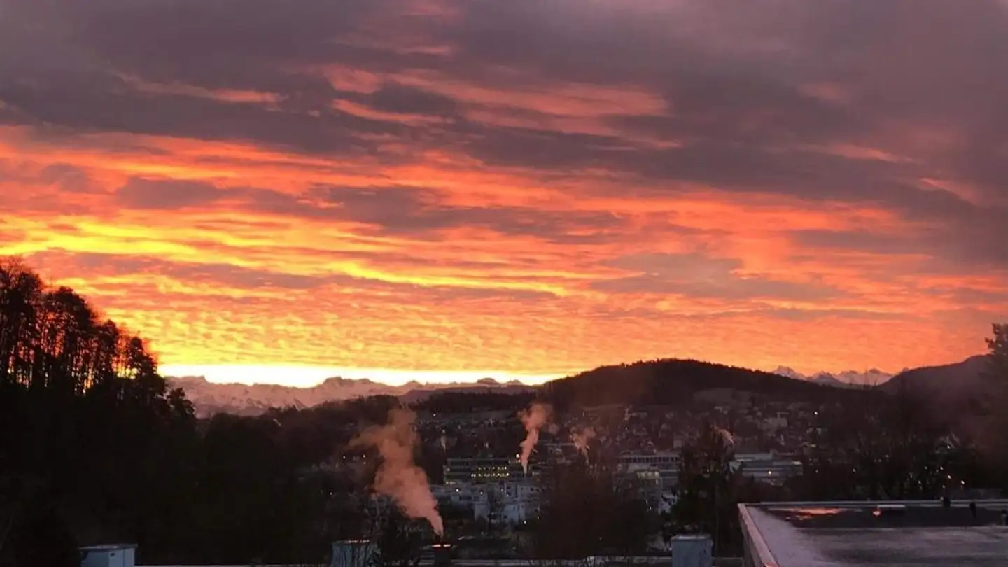 Wohnung mieten - Sihlweidstrasse 67, 8041 Zürich - Foto 2