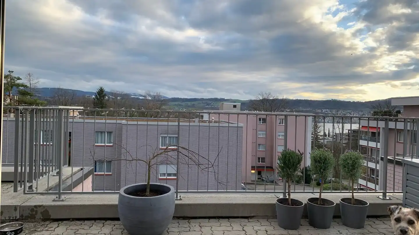 Wohnung mieten - Wampflenstrasse, 8706 Meilen - Foto 4