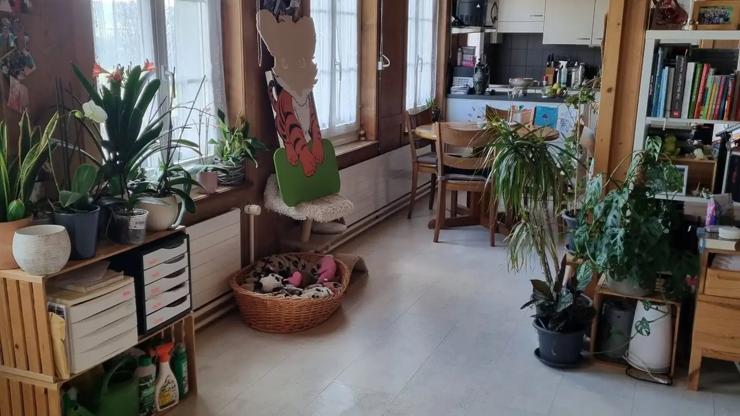 Wohnung mieten - 3257 Ammerzwil BE - Foto 3