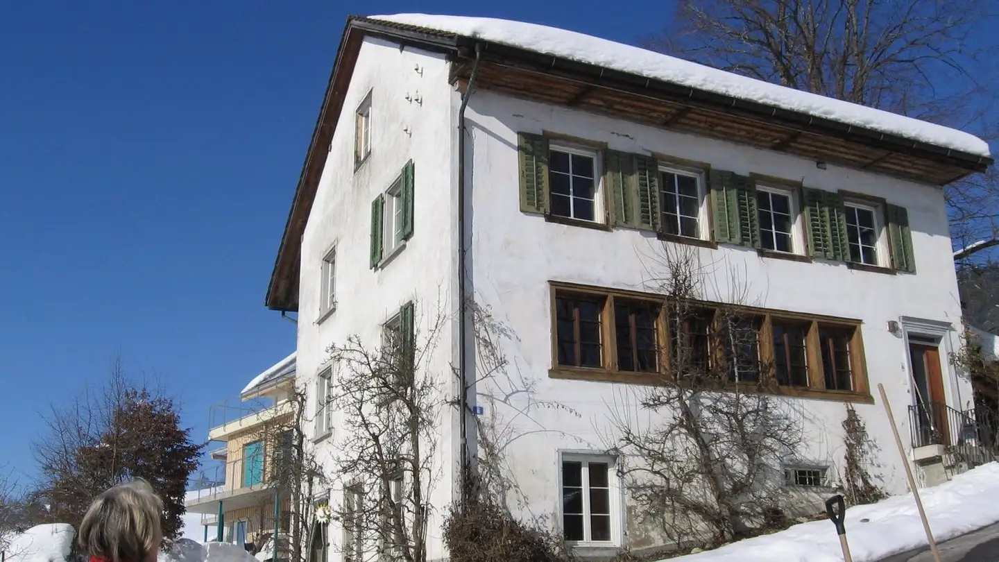 Studio for rent - Rosinlistrasse 6, 8345 Adetswil