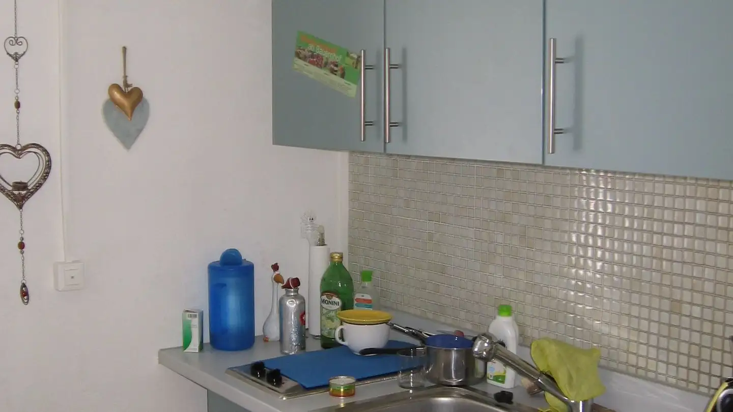 Studio for rent - Rosinlistrasse 6, 8345 Adetswil - Photo 3