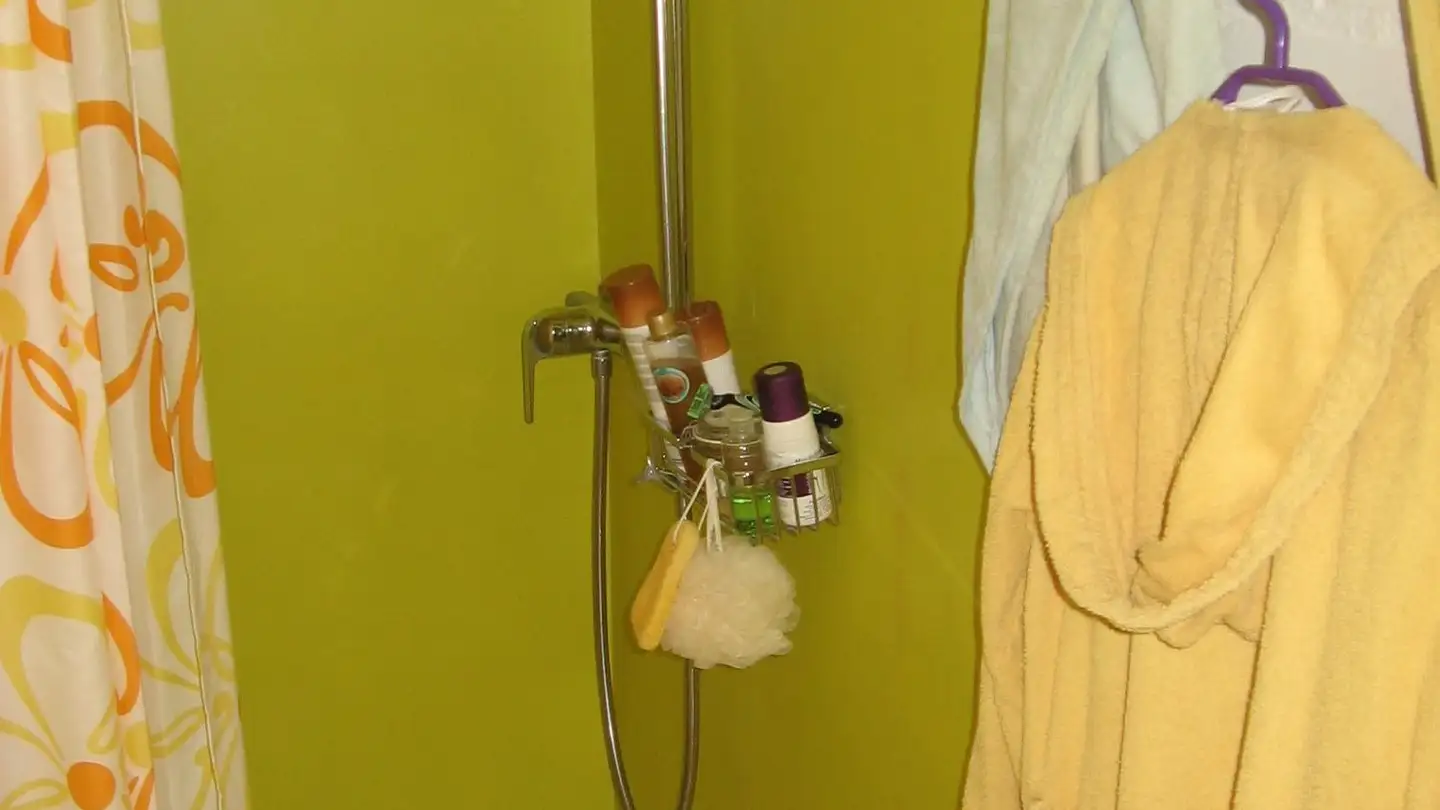 Studio for rent - Rosinlistrasse 6, 8345 Adetswil - Photo 4