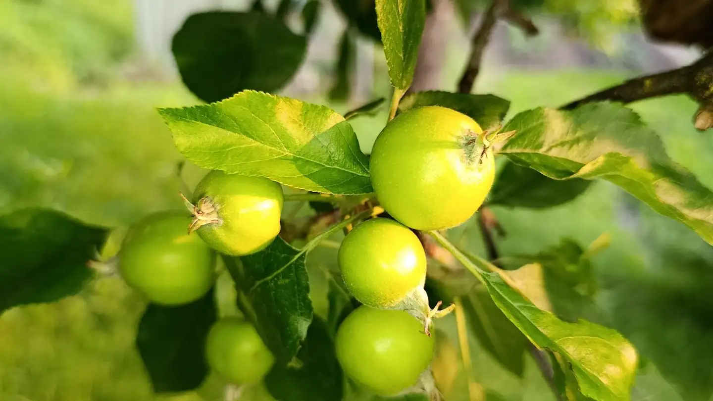 Stanza singola in affitto - 3457 Wasen im Emmental - Photo 3
