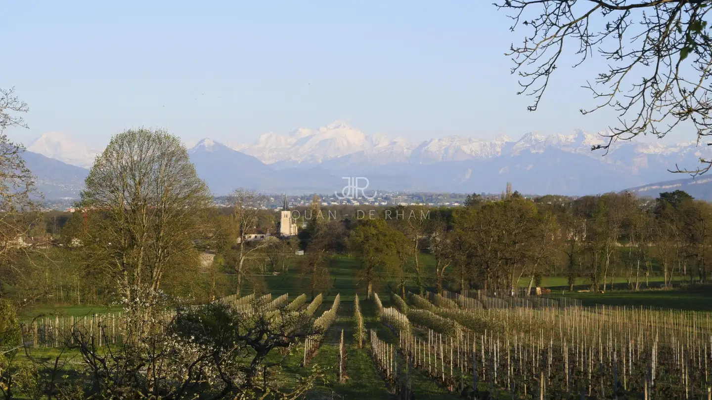 Maison individuelle à vendre - 1239 Collex - Photo 3