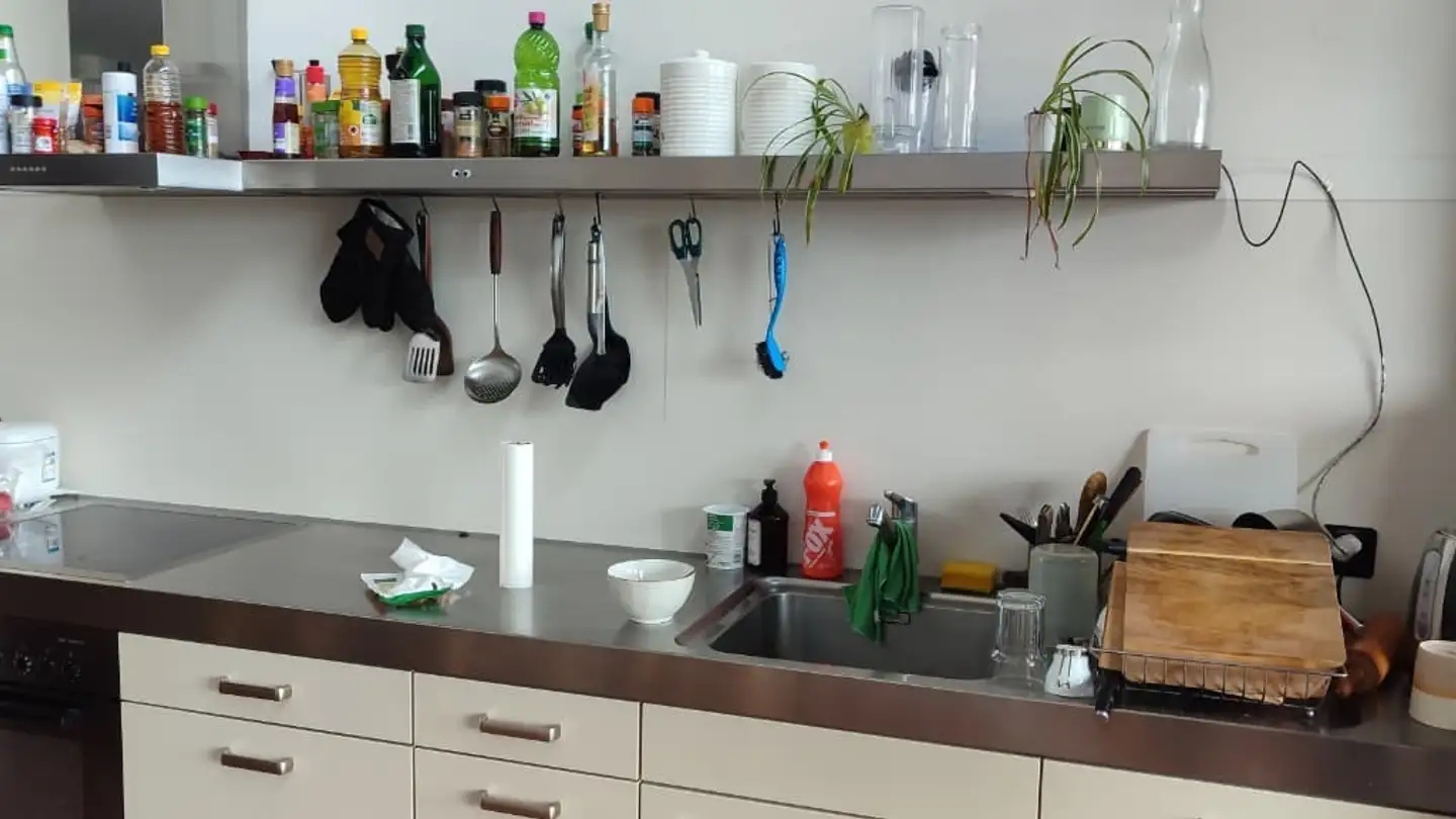 Single room for rent - Cäsar-Ritz-Strasse 5, 8046 Zürich - Photo 2
