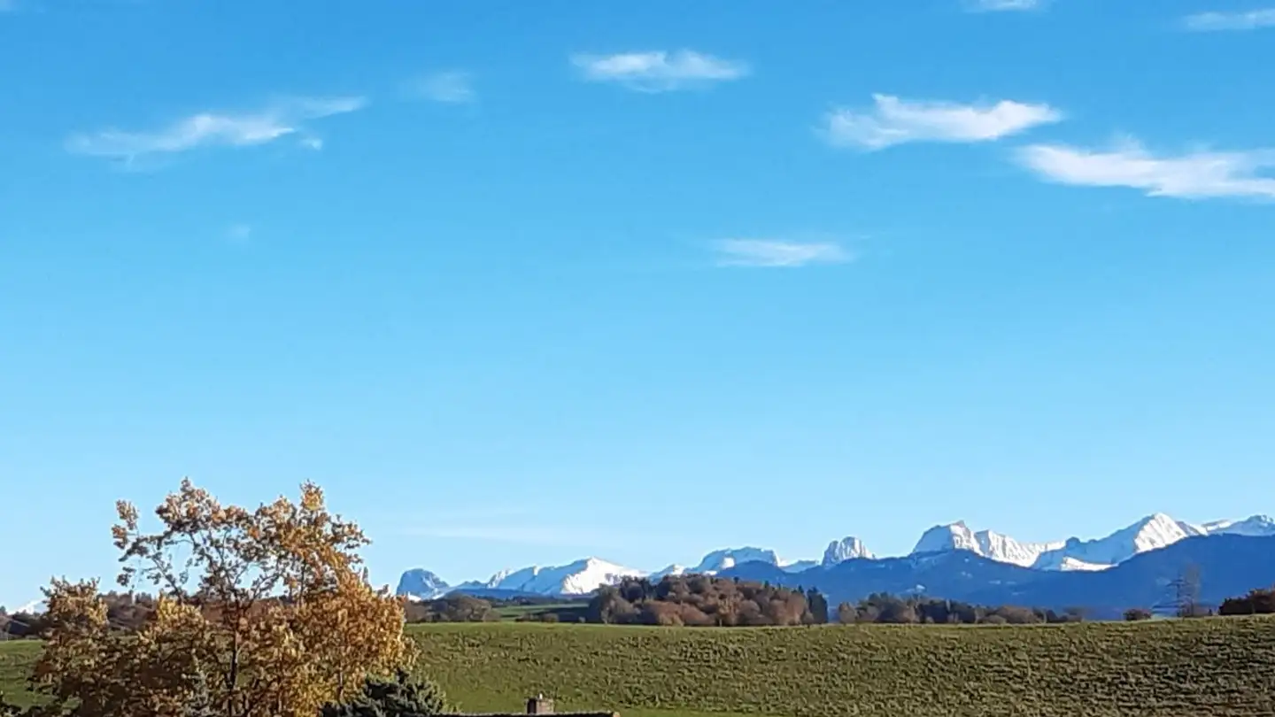 Casa a schiera in vendita - Pergolastrasse 26e, 3185 Schmitten FR - Foto 4