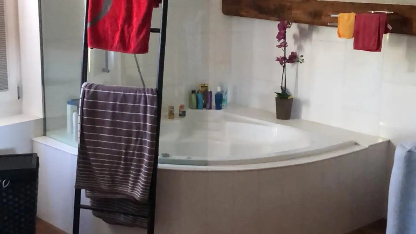 Loft for rent - Dollikerstrasse 76, 8707 Uetikon am See - Photo 4