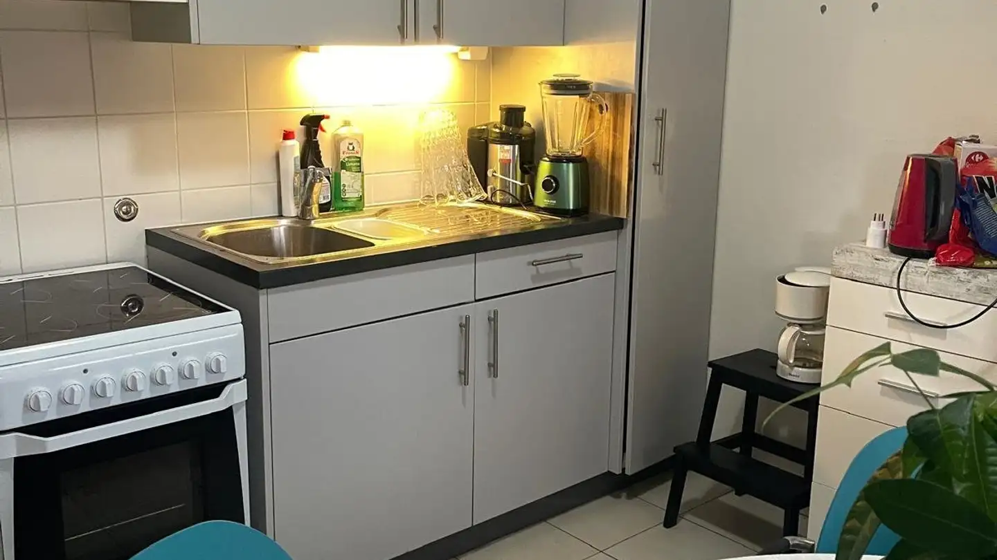 Appartamento in affitto - 1213 Petit-Lancy - Foto 3