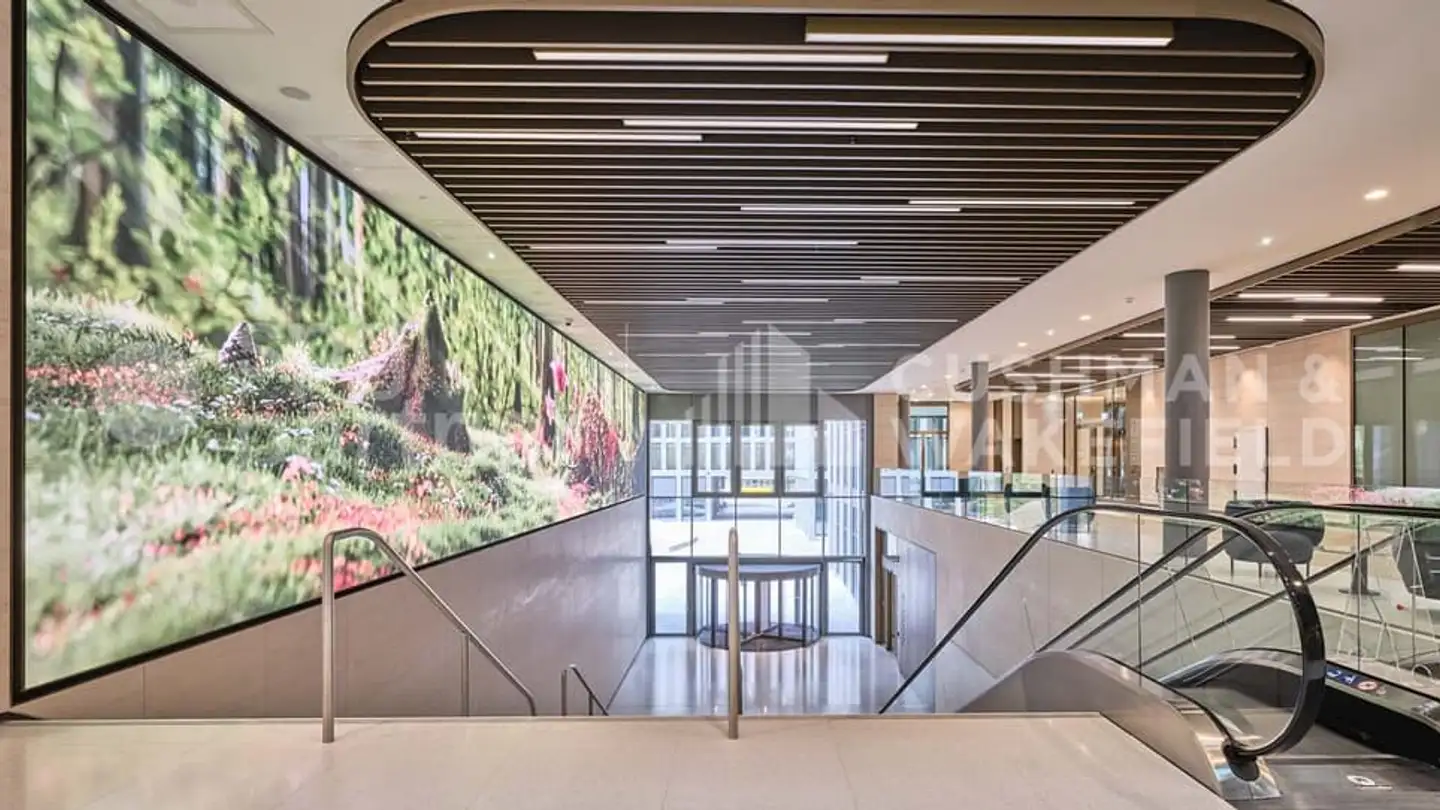 Commercial à louer - Esplanade De Pont-Rouge 9, 1212 Grand-Lancy - Photo 4