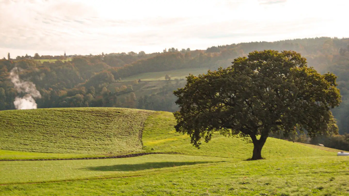 Casa singola in vendita - 1510 Moudon - Foto 2