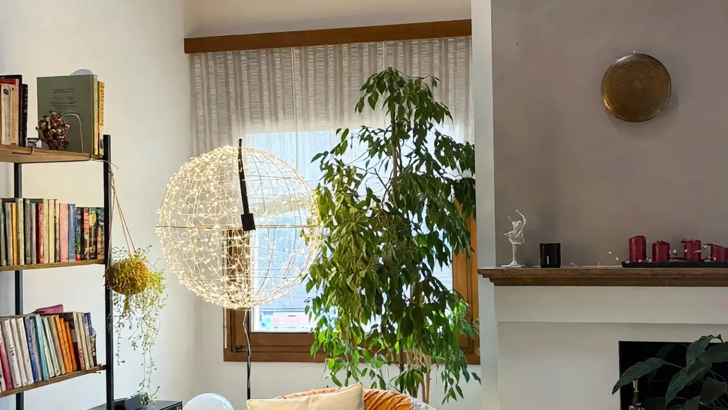 Attic flat for sale - 6949 Comano - Photo 4