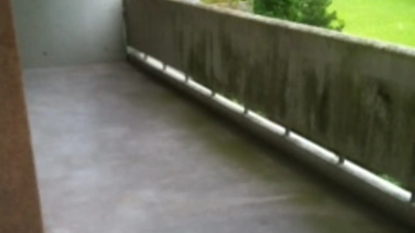 Wohnung mieten - Langackerstrasse 7, 8952 Schlieren - Foto 4