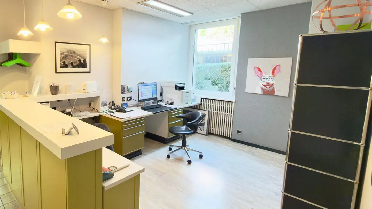 Gewerbe kaufen - 6600 Locarno - Foto 2
