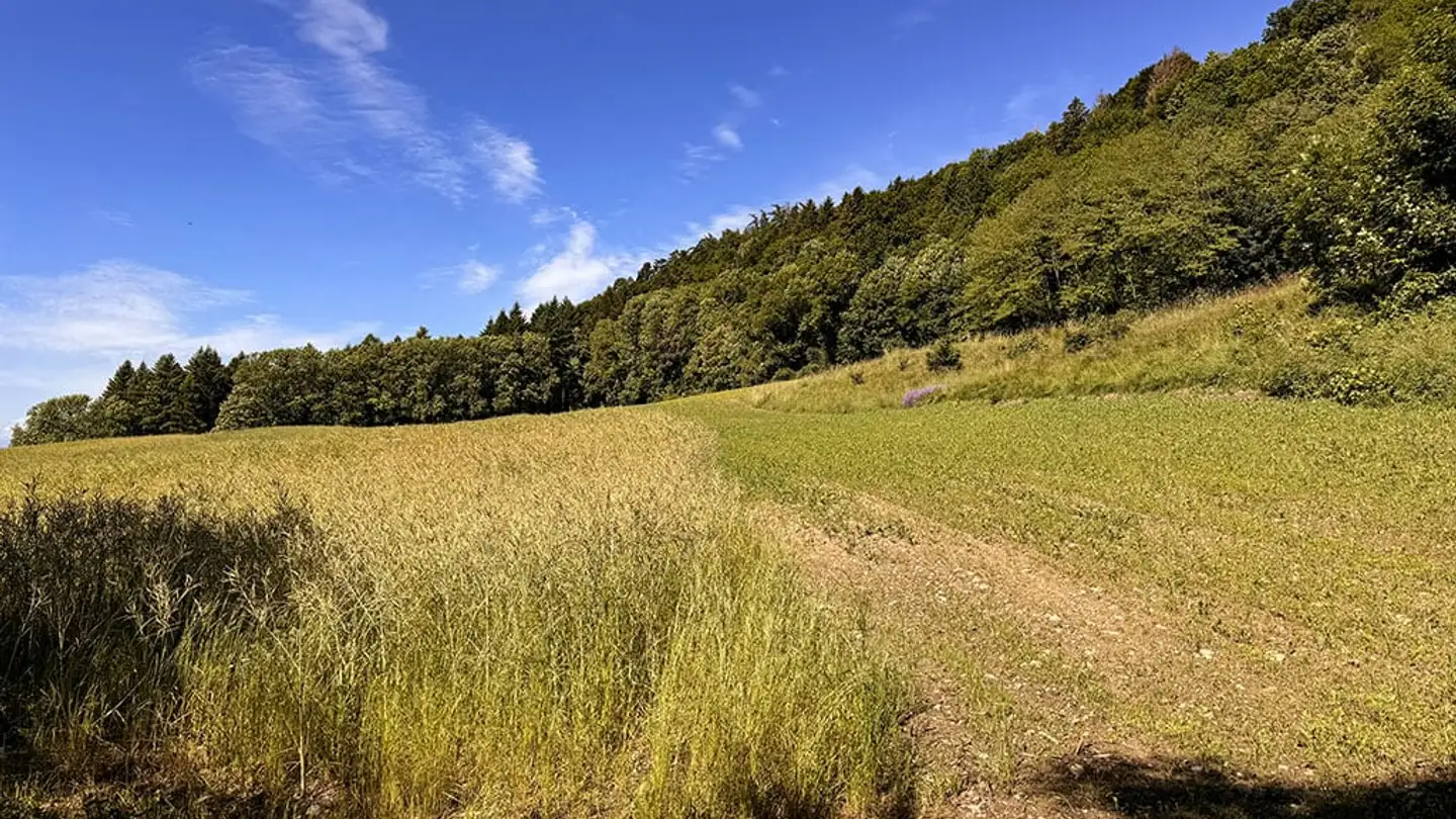 Doppelhaushälfte kaufen - 1172 Bougy-Villars - Foto 2