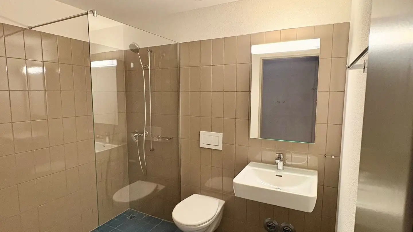 Duplex à louer - Brandstrasse 5, 8952 Schlieren - Photo 3