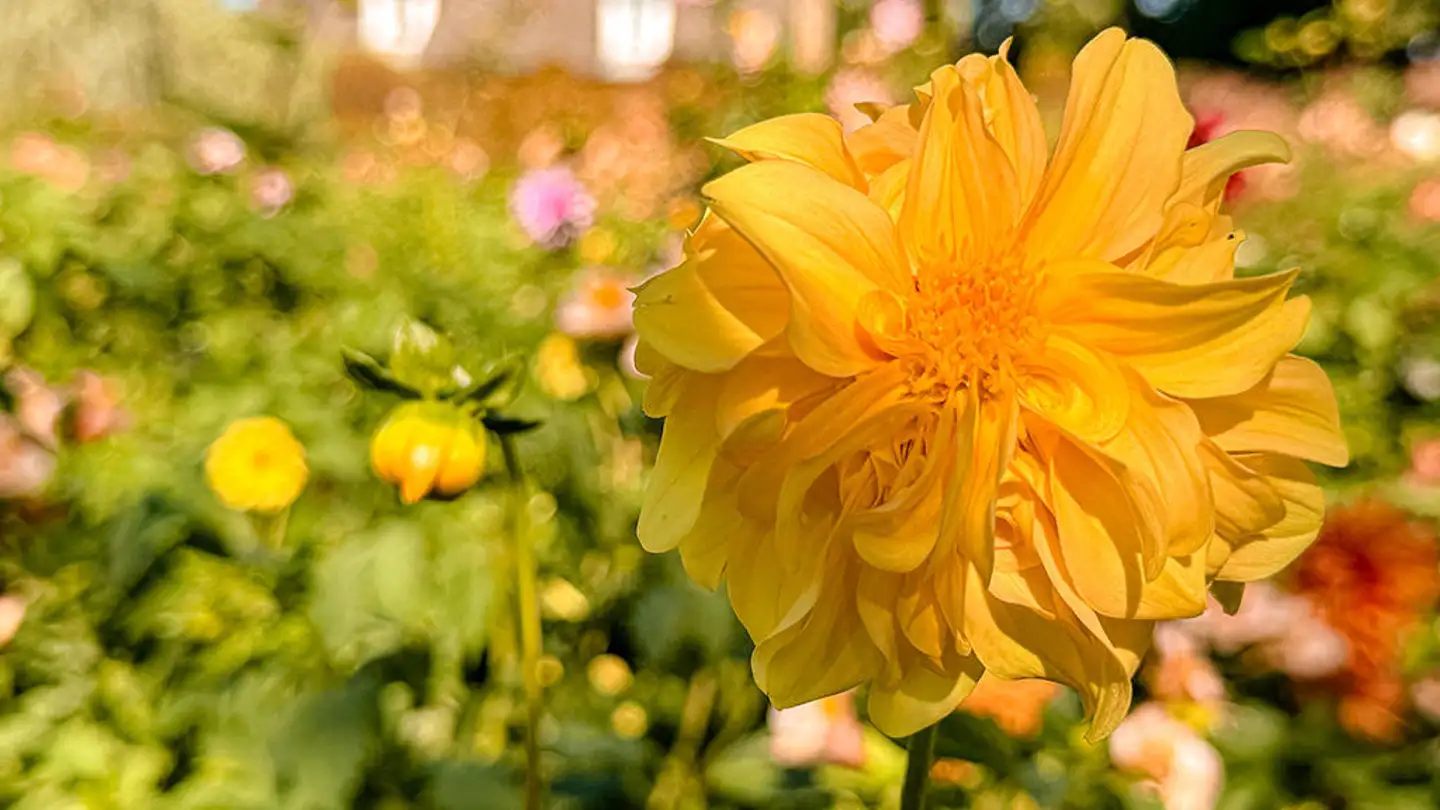 Maison individuelle à vendre - 2000 Neuchâtel