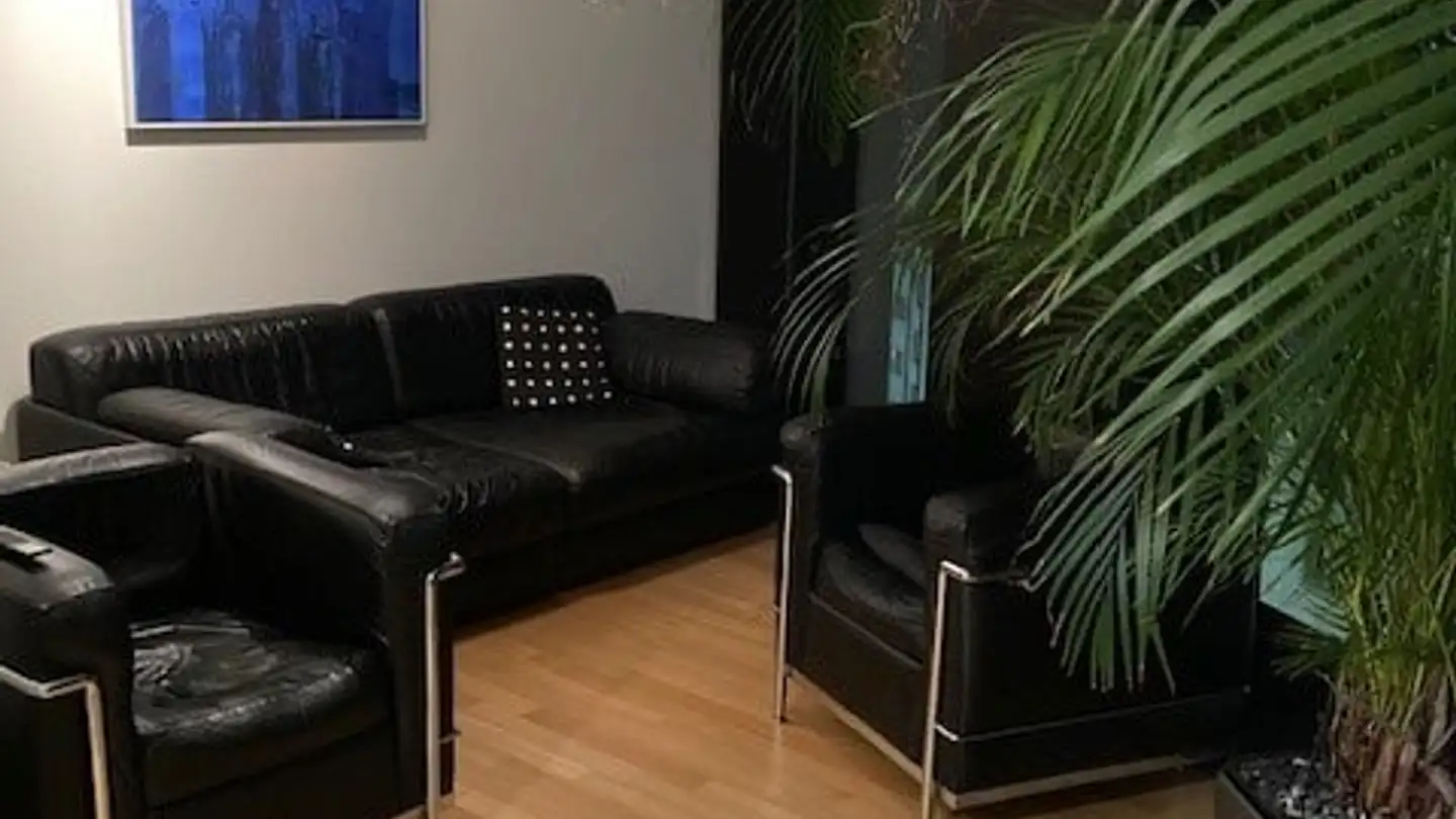 Appartamento in affitto - Mellingerstrasse 2, 5400 Baden - Foto 4