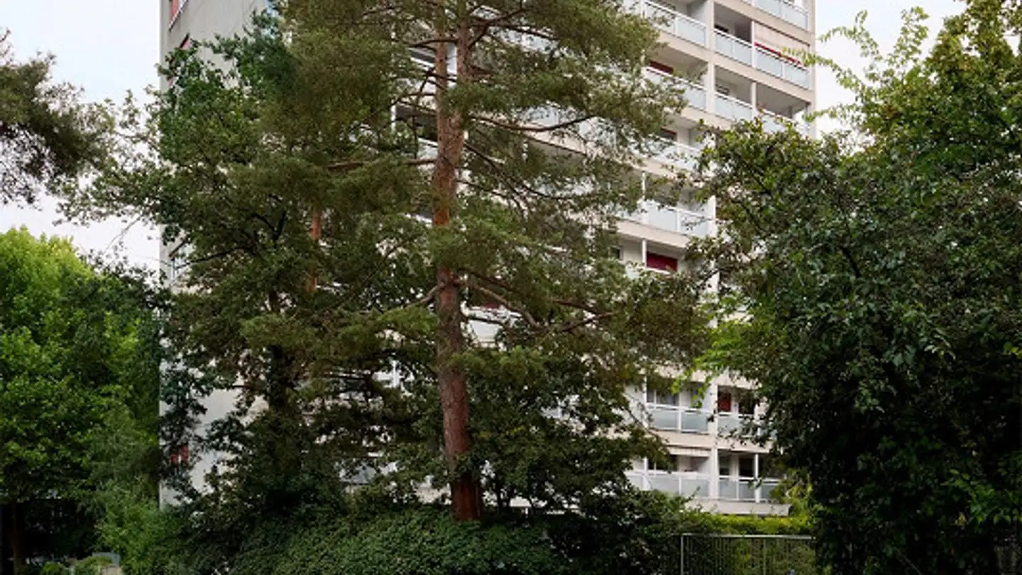 Apartment for sale - Rüttihardstrasse 10, 4127 Birsfelden
