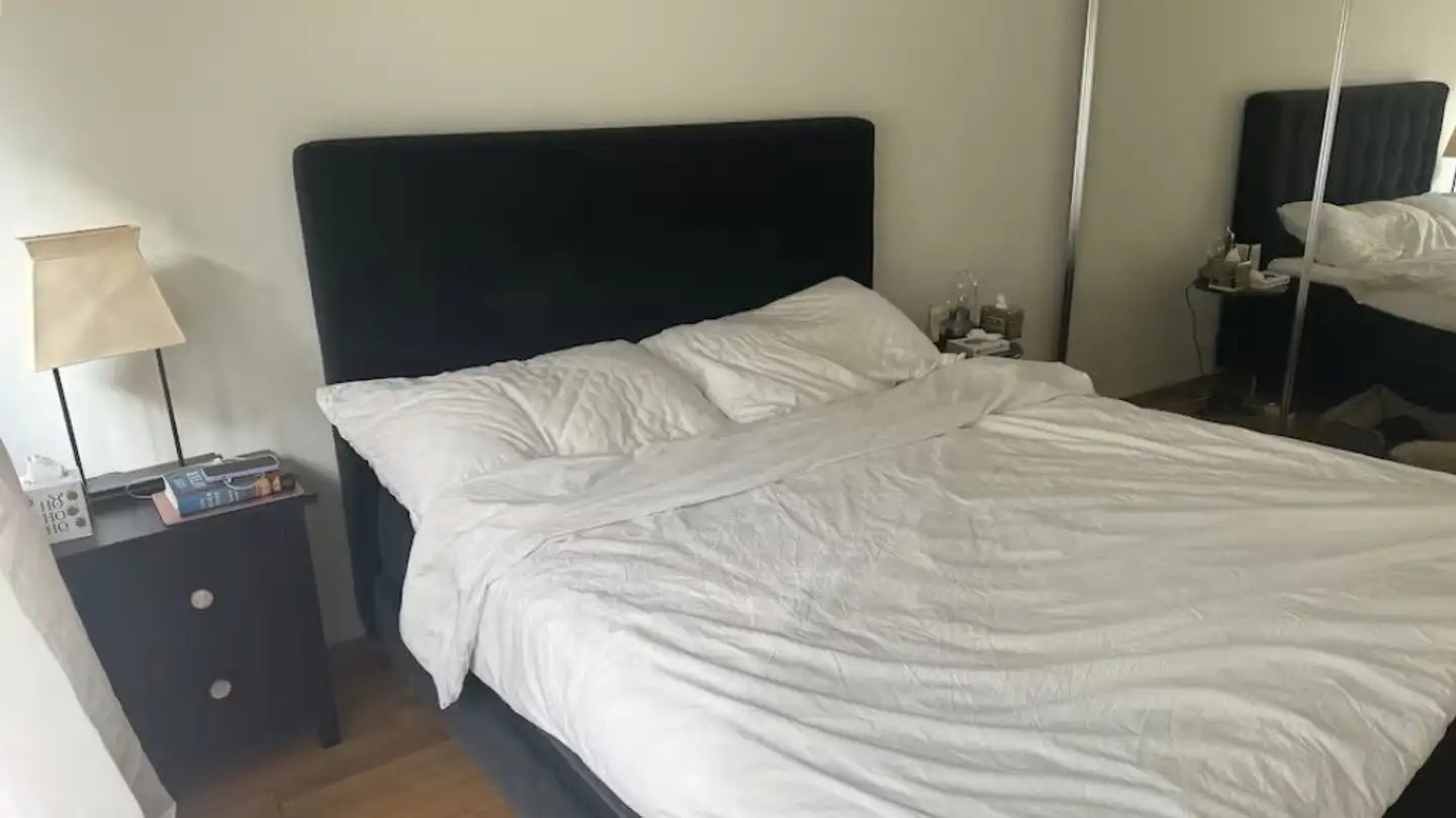 Appartamento in affitto - 8125 Zollikerberg - Foto 3