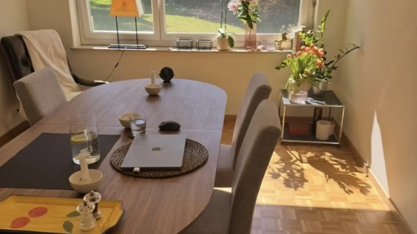 Appartamento in affitto - 8125 Zollikerberg