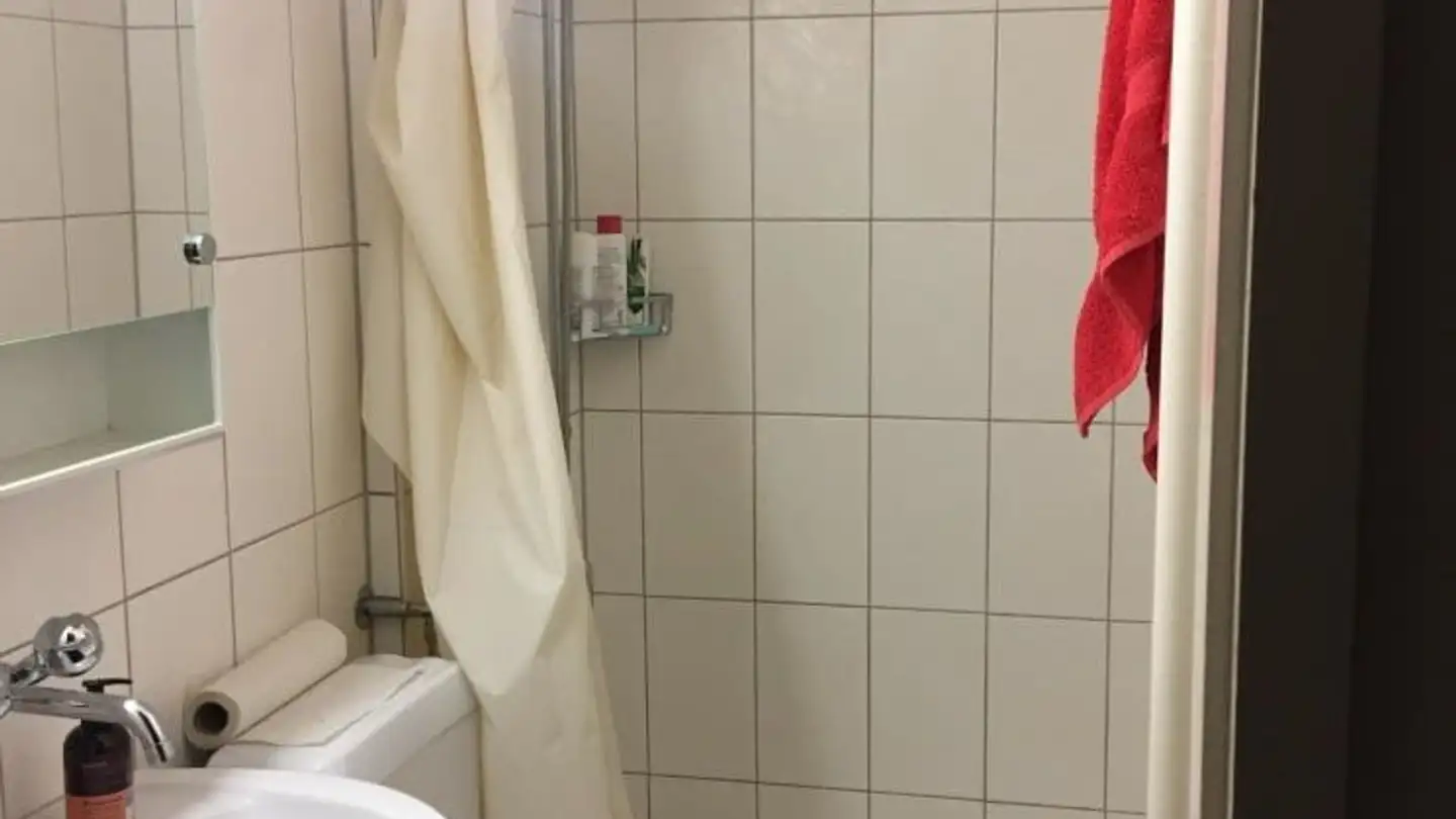 Appartamento in affitto - Hegenheimerstrasse 97, 4055 Basel - Foto 3
