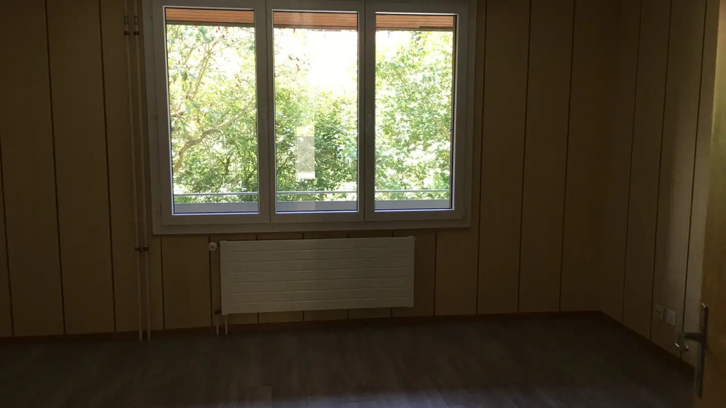Appartement à louer - Sonnmattweg, 3457 Wasen im Emmental