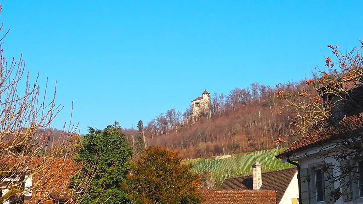 Villa à vendre - 4144 Arlesheim