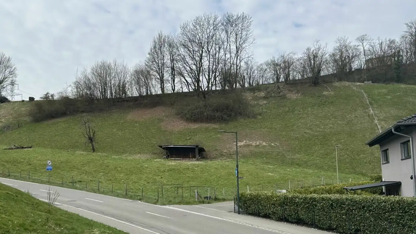 Bauland kaufen - Rickenbacherstrasse 40, 4463 Buus - Foto 2