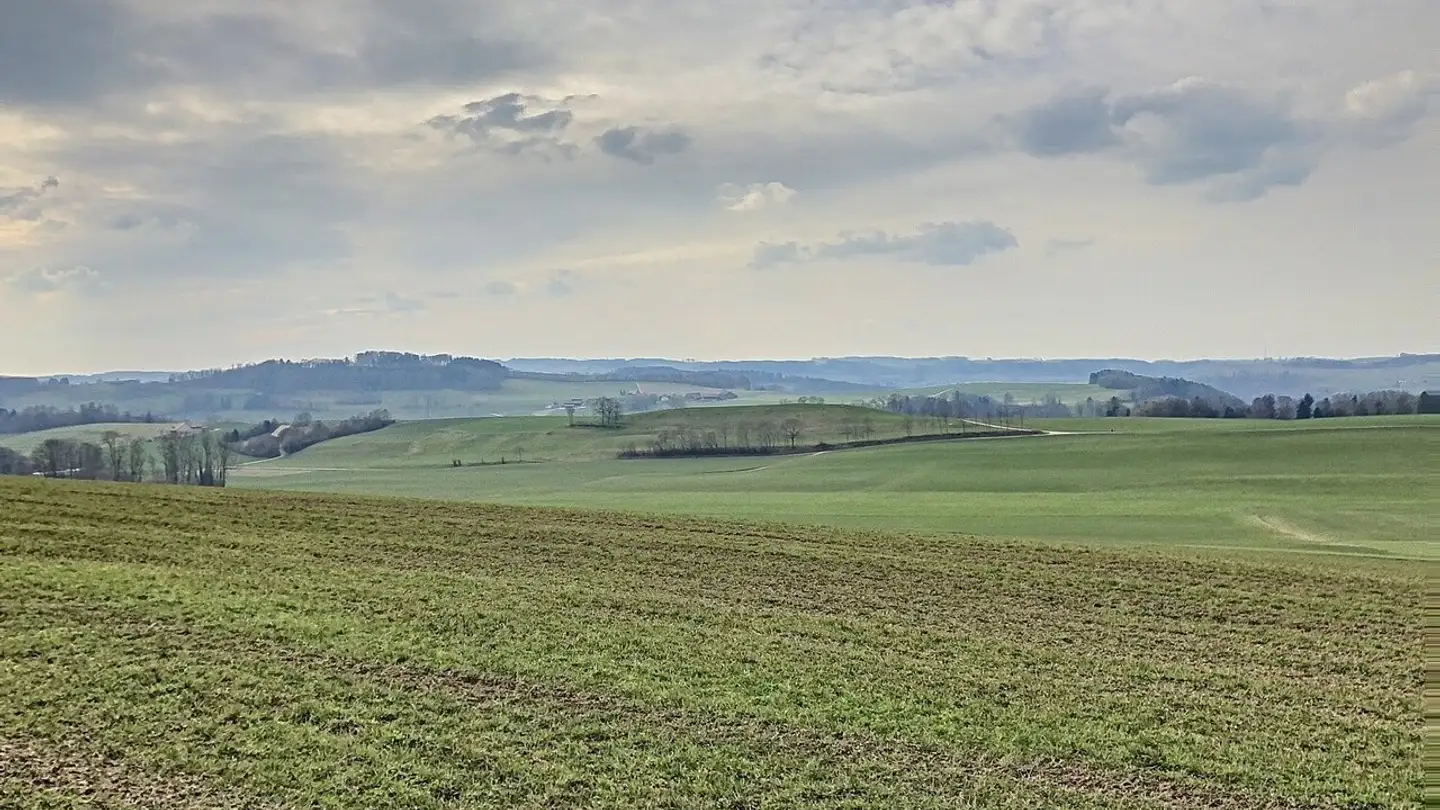 Wohnung mieten - Route De Moudon 47, 1670 Ursy - Foto 2
