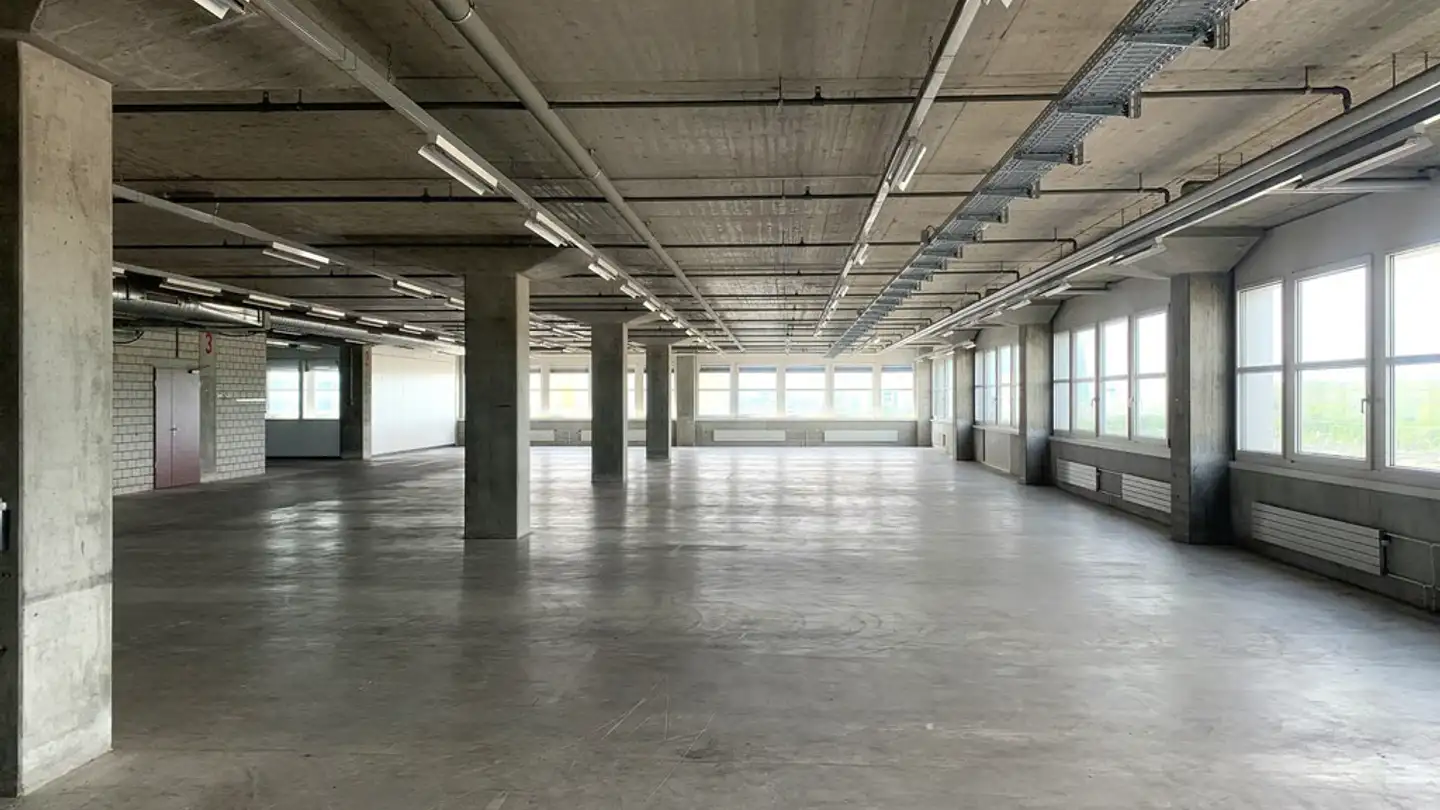 Storage space for rent - Hofackerstrasse 40, 4132 Muttenz - Photo 3