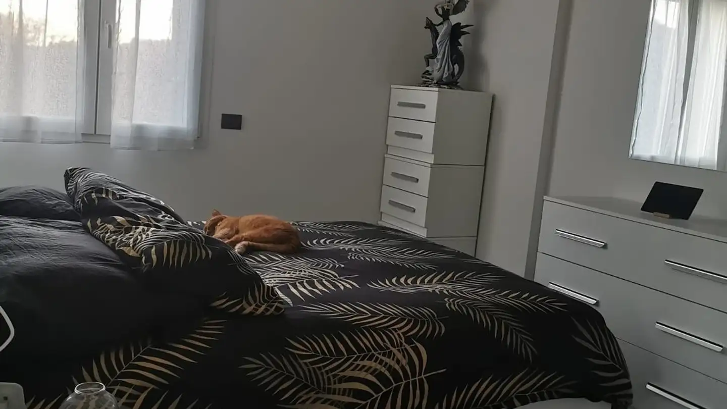 Appartement à louer - Via Bressanella 14, 6828 Balerna