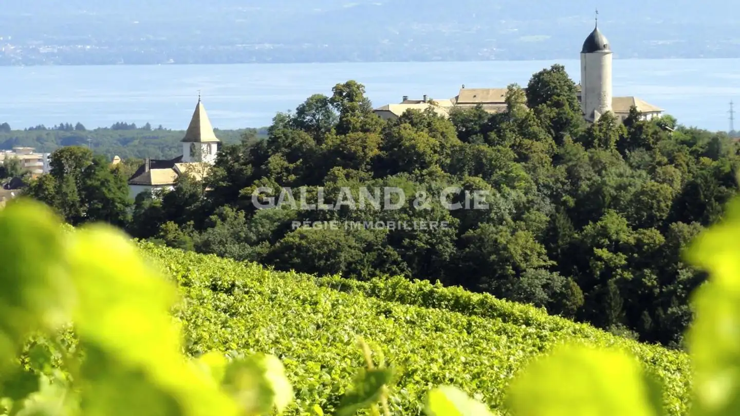 Einfamilienhaus kaufen - 1170 Aubonne