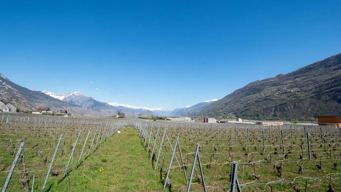 Constructible plot for sale - 1955 Chamoson