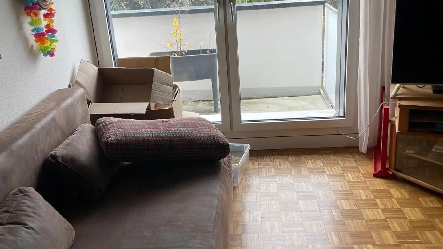 Appartement à louer - Chemin Auguste- Vilbert 64, 1218 Le Grand-Saconnex