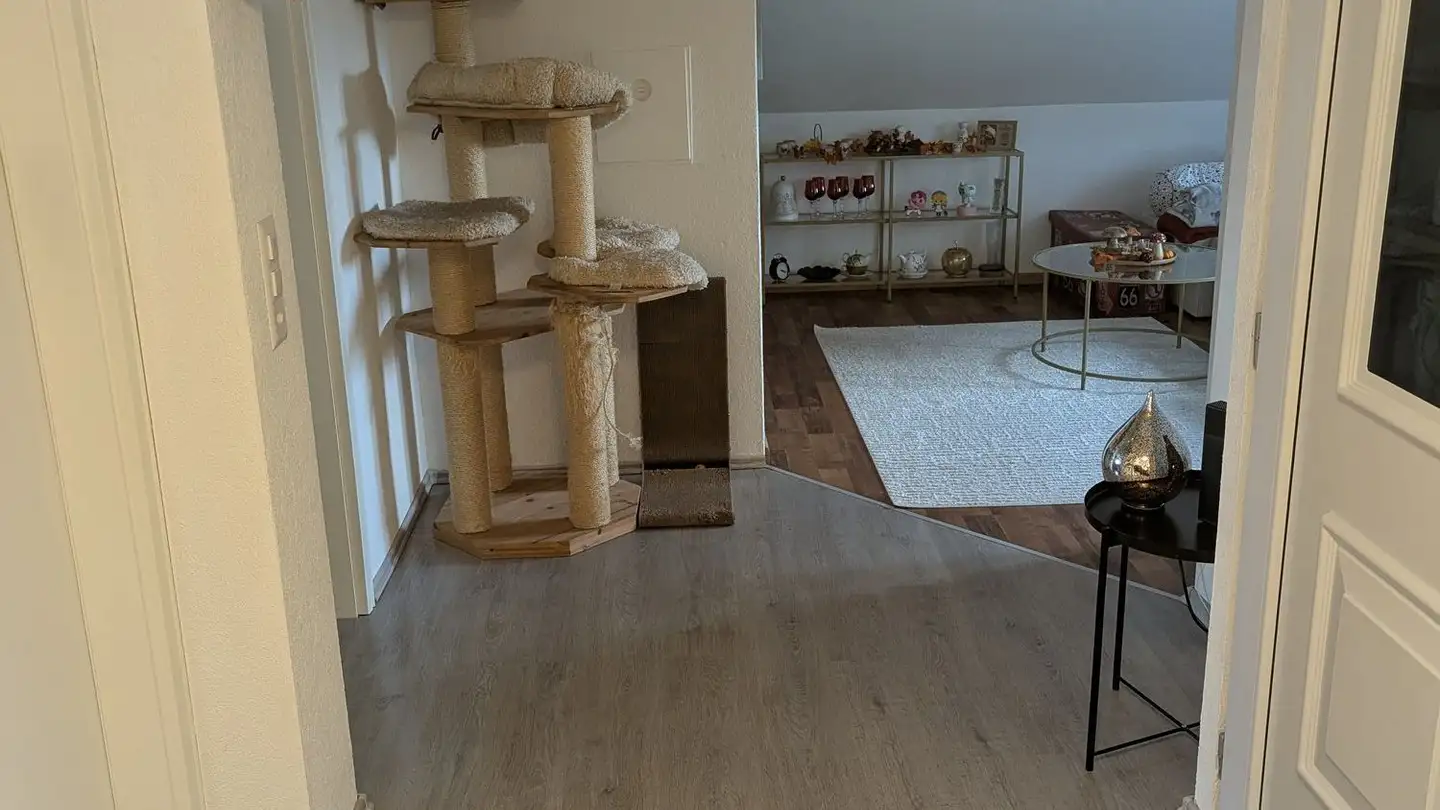 Attico in affitto - 8585 Mattwil - Photo 4