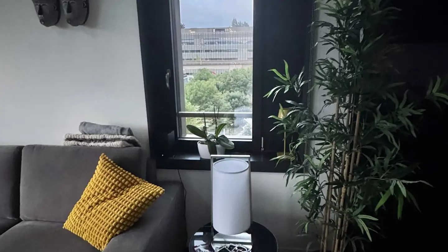 Apartment for rent - Pfingstweidstrasse 104e, 8005 Zürich - Photo 4