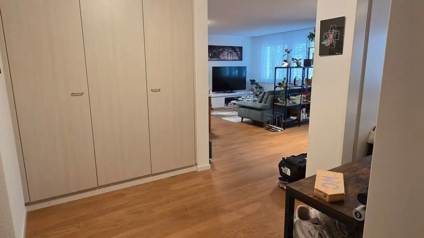 Appartamento in affitto - Landvogt-Waser-Strasse 67, 8405 Winterthur - Foto 4