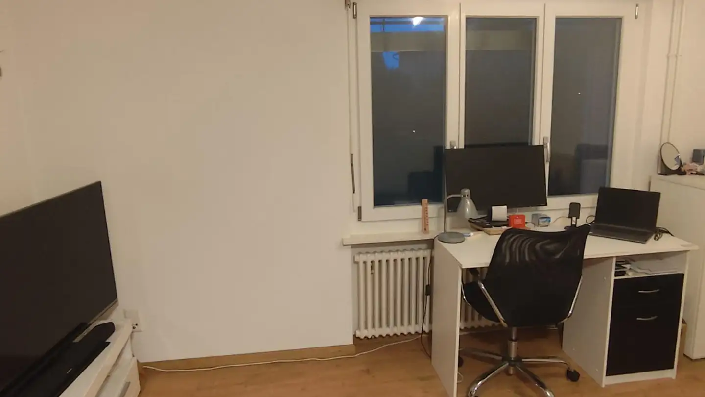 Appartamento in affitto - Neusatzstrasse 1, 8596 Scherzingen - Foto 4