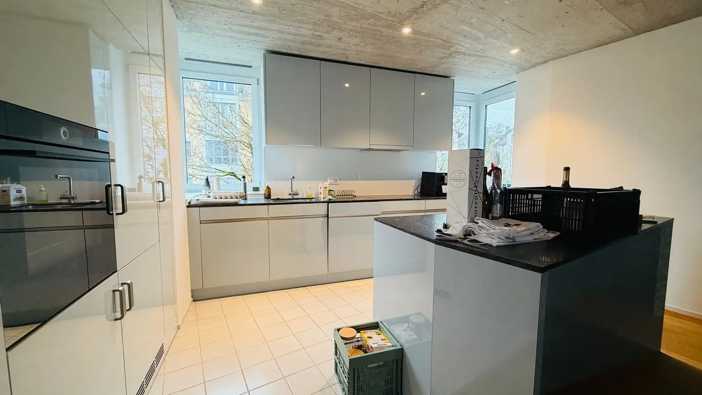 Duplex in affitto - Mommsenstrasse, 8044 Zürich - Foto 3