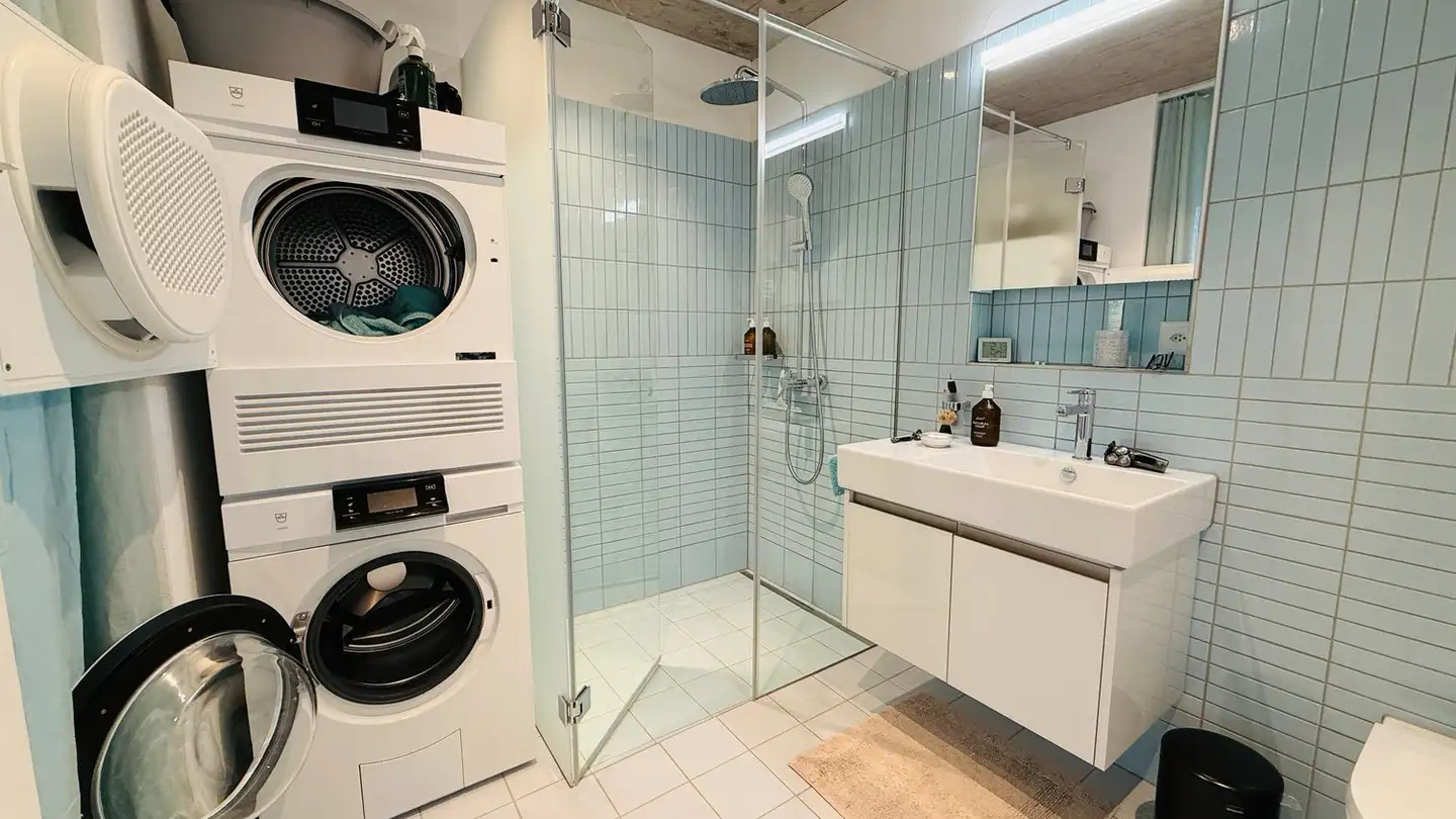 Duplex in affitto - Mommsenstrasse, 8044 Zürich - Foto 4