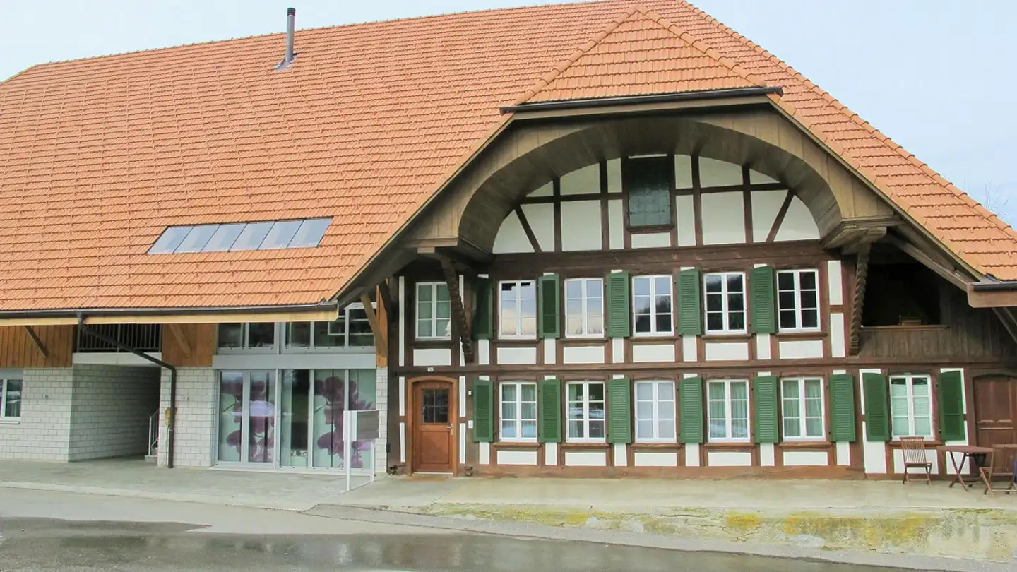 Appartement à louer - Bocksteinstrasse 12, 4583 Mühledorf SO