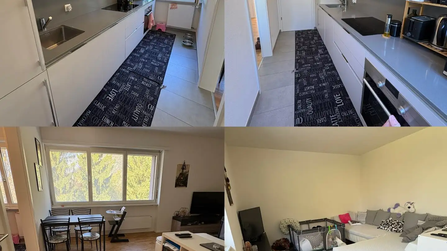 Appartamento in affitto - Viale Moesa 26, 6517 Arbedo