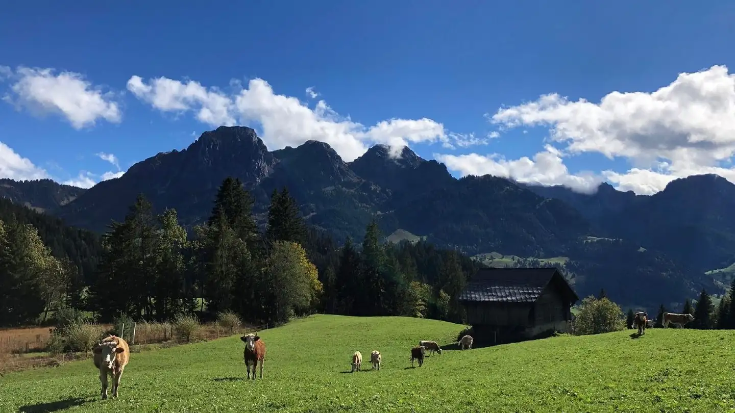 Chalet à vendre - Route De La Manche 63, 1659 Rougemont - Photo 2