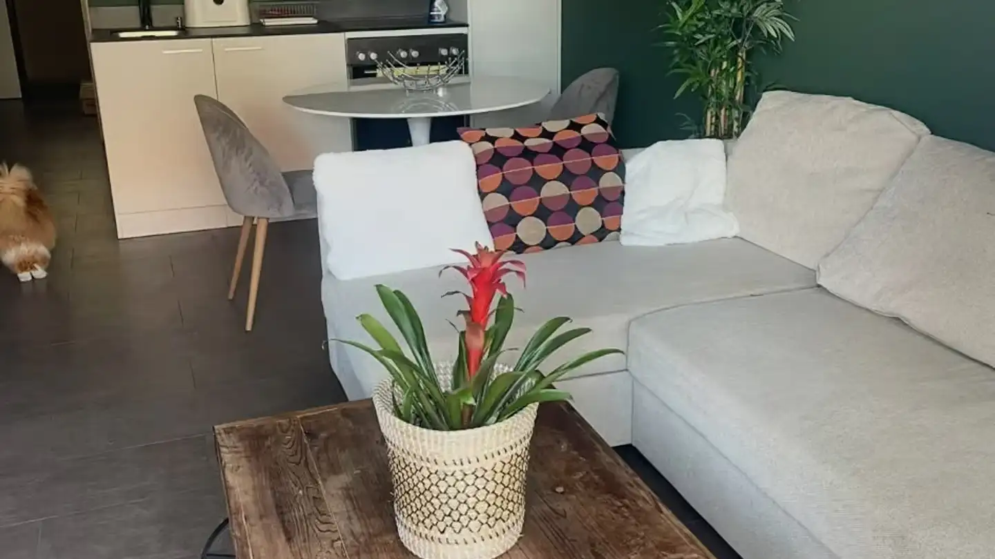 Apartment for rent - 1564 Domdidier - Photo 3