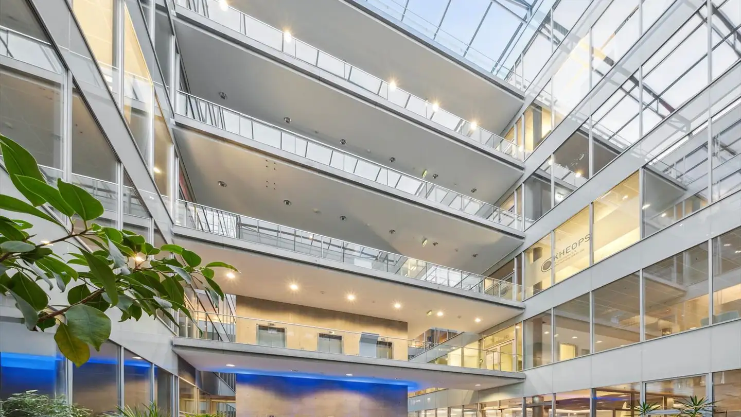 Proprietà industriale in affitto - Chemin Du Pré-Fleuri 1, 1228 Plan-les-Ouates - Foto 3