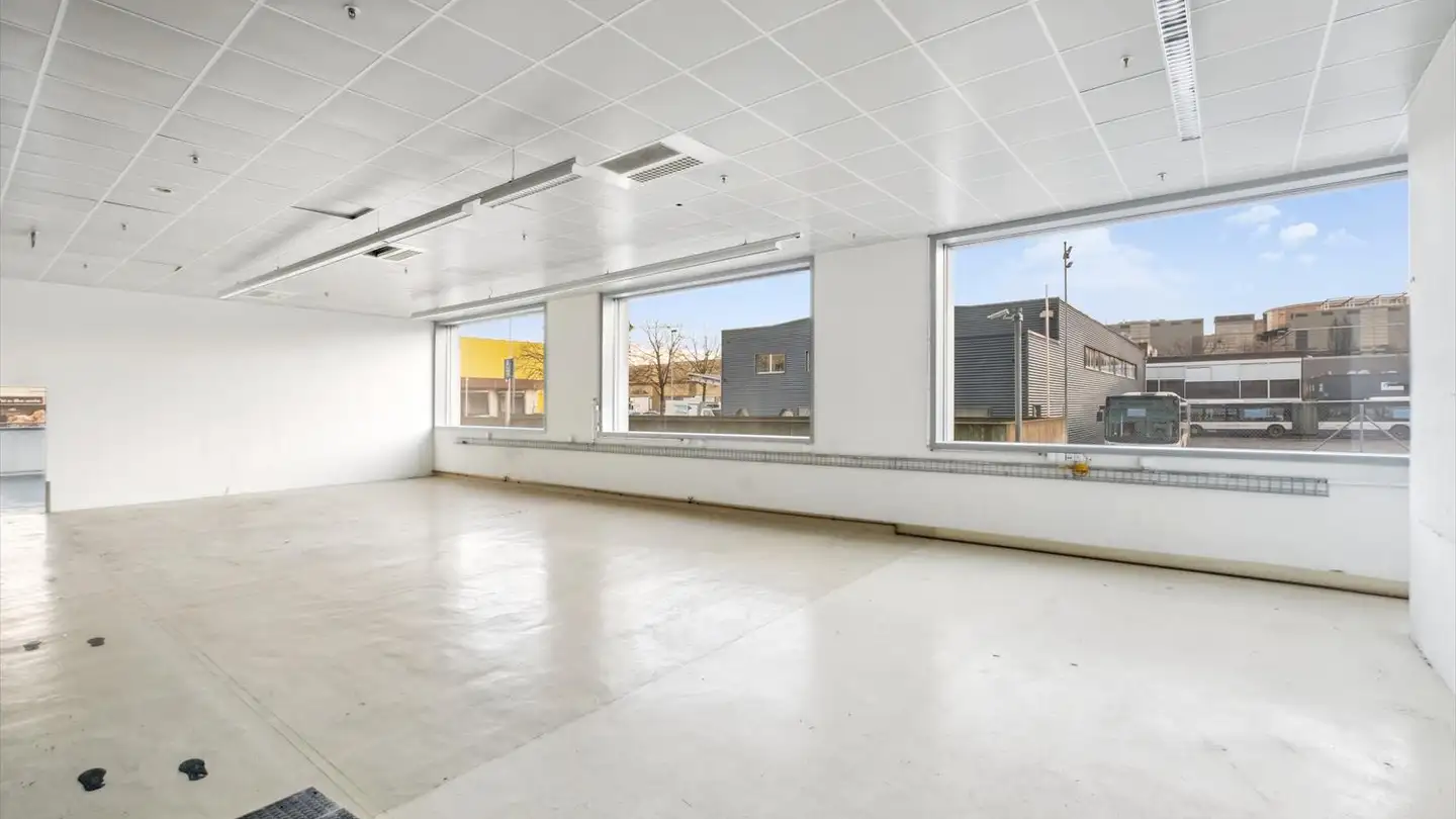 Proprietà industriale in affitto - Chemin Du Pré-Fleuri 1, 1228 Plan-les-Ouates - Foto 4