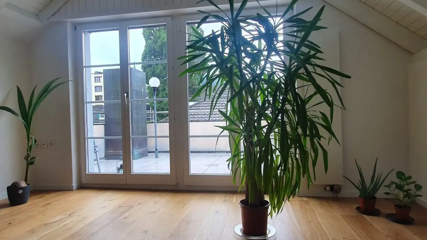 Dachgeschosswohnung mieten - Seestrasse 91, 8820 Wädenswil - Foto 2