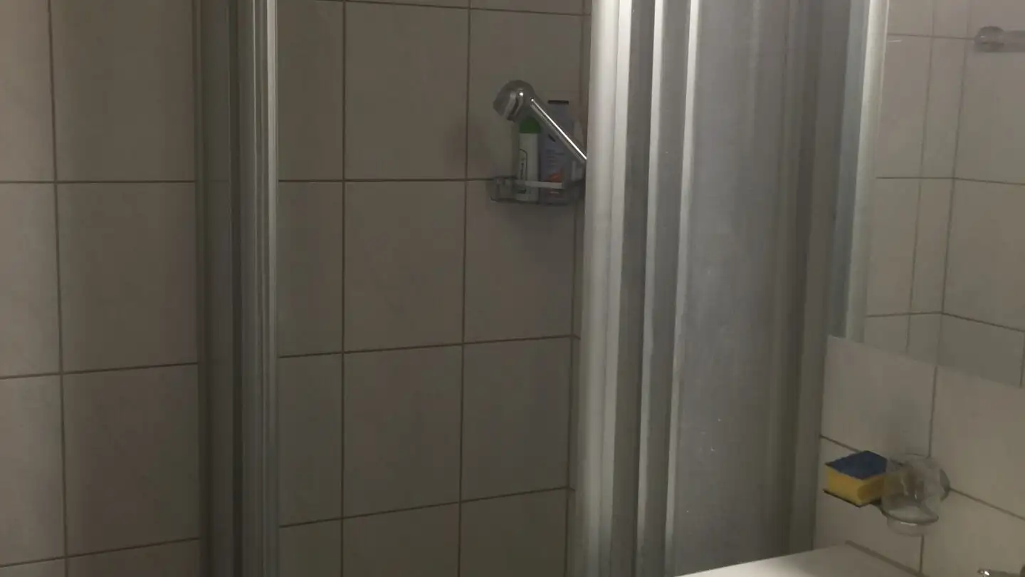 Appartamento in affitto - Schoppenstrasse 9, 8953 Dietikon - Photo 3